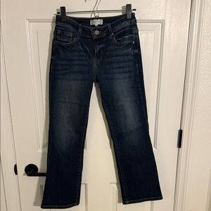 Risen Classic Blue Women's Jeans Size 3/26